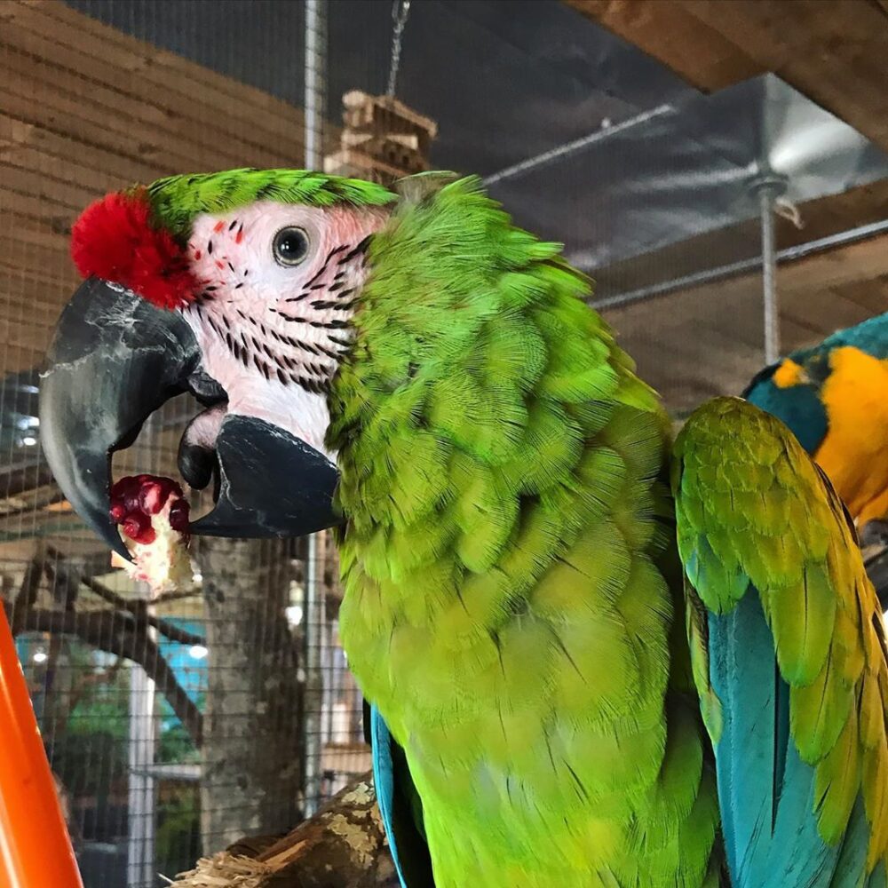 Shop Primary Image